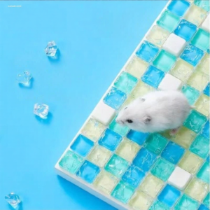 MINGRENBANG | Heat Relief Pet Cooling Mat