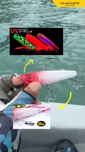 SEAHAWK BIG STRIKE FLUTTER POPPER 90 FISHING LURE (14.5g)