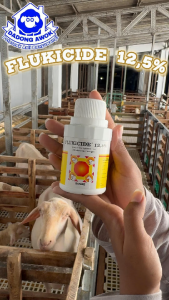 Flukicide cair - FLUKICIDE ORAL 100 ml - Flukicid Obat Cacing Minum Hewan Sapi Kerbau Kuda Domba dll