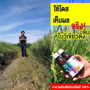 โดสแม็กซ์ DOSE MAX บูสต์พืชให้พุ่งสูงสุด 10 เท่า เสริมประสิทธิภาพของโดสเอ็กซ์ตร้านาโน kaideeshop888