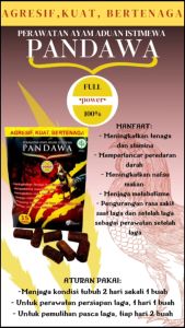 PANDAWA POWER 1 RENTENG - full stamina