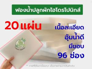 ฟองน้ำปลูกผัก ฟองน้ำปลูกผักไฮโดรโปนิวกส์ ฟองน้ำเพาะต้นกล้า 96 ช่อง ชุด 20 แผ่น