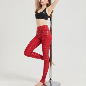 Anti-slip aerial dance pole dance pants silicone wear-resistant lining pants nightclub dance costumes