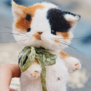Bộ Đồ Dùng May Vá DIY Chó Teddy Bông Tay Thủ Công Ban Đầu Bao Bì Chất Liệu Chăm Sóc Mèo Ba Mắt Chất Liệu May Vá Chăm Sóc Mèo