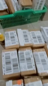 Essen Barracuda Khusus Ikan Lele Essen Lele Indukan Paling Jitu Essen Lele Harian dan Galatama Disegala Umpan Terlaris