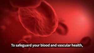 [Slimplanet] Vitalizent Blood Sugar Blood Pressure Diabetes Cholesterol Supplement (30 Days)