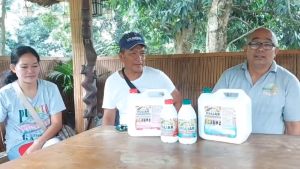 DLS 3Gs Foliar Growth Enhancer/Soil Conditioner and Bustimilant (4 Liters) With Measuring Cup and Instruction ng kasama