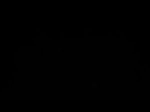 Alat Kastriasi Sawit Cap RA Global: Pemahaman & Penggunaan