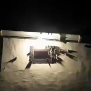 King Birahi Scorpio produksi Wings Grup Jaminan Asli 100% Original Garansi Resmi 1Tahun