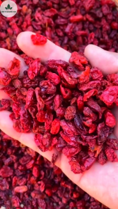 Sơn thù du khô 1kg đã tách hạt màu đỏ đẹp không lẫn tạp chất - Chợ Thảo Dược Việt