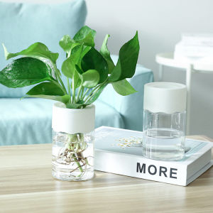 Mini Transparent Hydroponic Flower Pot Pothos Vase Decoration Soilless Plant Pot