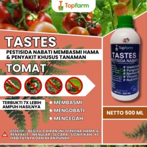 Obat Tomat Anti Busuk & Cara Menggunakannya