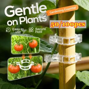 50/100 Pcs Trellis Tomato Vine Clips Supports Connects Plants Vegetable Fastening Clip Bundled tools Plastic Plant Clip For Tomato Reusable Grafting Fixing Tool Hanging Trellis Vine Connects