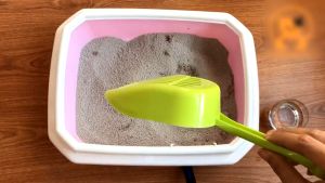 Xẻng Xúc Cát Cho Mèo Tiện Dụng A3 - Dụng Cụ Xúc Phân Cho Mèo Nhựa Cao Cấp