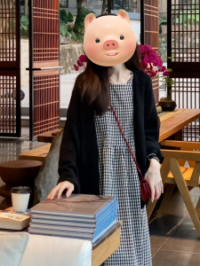 PEIZIXUAN | French Black and White Grid A-Line Dress for Petite Fall Style