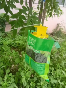 Ci2DMRbW พร้อมส่ง ดักจับแมลงวันทอง อุปกรณ์ดักแมลง ดักแมลงวัน ล่อแมลงวันทอง ปลอดภัย ไร้สารพิษ ติดทนนาน