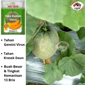 Benih Bibit Melon Super Jumbo Orange PREMIER F1 50 Biji Cap You Seed