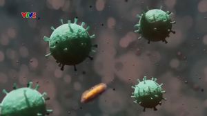 (Tặng Sữa Rửa Mặt) Xịt Khử Mùi Hôi Nách AROMA 50ml Làm Sạch Vùng Nách Giúp Da Vùng Nách Khô Thoáng Với Hương Nước Hoa Nhẹ Nhàng