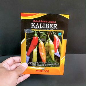 Benih cabe rawit unggul - KALIBER 10 gram - Wijitani tipe viral maruyung