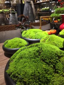 Modern Chinese Style Artificial Bonsai Plant in Potted Green Moss Office Coffee Table Desktop Decoration for Club And Sales Office