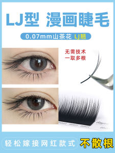 LJ Comics Camellia Eyelashes Nature Mom Students Grafting Fox Comics National Style Take More Roots Eyelash Salon Dedicated