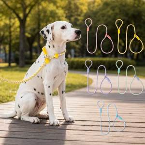 Teekland Durable Slip Lead Heavy Duty Rope Leash for Large Medium Dogs No Pull Pet Training Leash