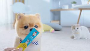 Súp Thưởng Dinh Dưỡng Cho Chó Smartheart Creamy Dog Treats 4 Vị