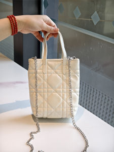 Mini Phone Chain Wallet Crossbody Single Shoulder Handbag Small Purse Handbag for Youth Magnetic Buckle Closure Vertical Shape