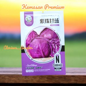 (KEMASAN PREMIUM) BIJI | BENIH TANAMAN KOL/KUBIS UNGU (isi -+300 Butir)
