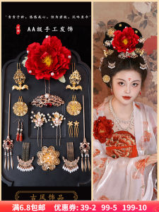 Tang Dynasty Style Hair Accessories Set Flowing Tassel Hairpin Daily Hanfu Hair Accessories Ancient Chinese Costume Styling