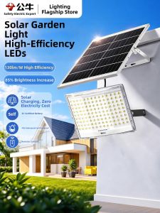 Bull | Solar Outdoor Home Lighting