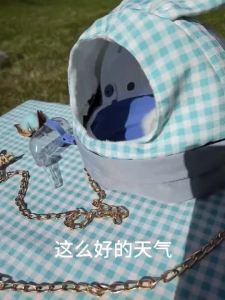 Beg Hamster Sangkar Beruang Benang Emas Tupai Bunga Sangkar Mudah Alih Babi Guinea Sebelah Bahu Beg Keluar Jalan