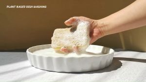 Eco-Friendly ฟองน้ำล้างจานธรรมชาติ สก็อตไบร์ท HIHOME Plant Base Dish Washing - ย่อยสลายได้ สินค้าhot ใหม่
