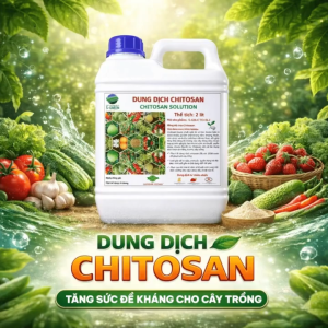 Dung Dịch Chitosan 2 Lít - Dung Dịch Sinh Học Chăm Sóc Cây Trồng Hỗ Trợ Kích Rễ Tăng Sức Sống Cho Cây