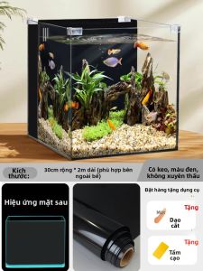 GANI | Phông Nền Băng Động Cho Bể Cá