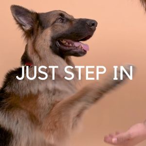 Bark & Spark Natural Paw and Bum Cleanser - No-Rinse Foam Lavender Extract (100ml 250ml)