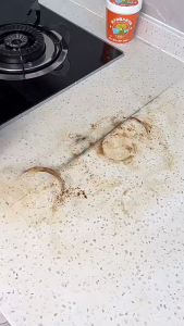 Coconut Oil All-Purpose Cleanerstain Removal for Kitchen Ware Cleaner Stain Remover Paste Grease Kitchen Strong Cleaner Stainless Steel Cleaning lotion Remove oil and dirt Remove various stains Stainless Steel Cookware Cleaning