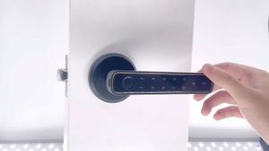 Expose Smart Door Lock Digital Lock Electronic Password Keyless Smart Lock Digital Lock Card Apartment Smart Set