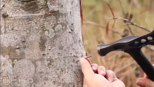 【24 Hour Shipping🚗✔️】Tomahawk Camping Survival Axe with Nylon Sheath