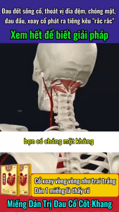 Miếng Dán Cổ Vai Gáy Thảo Dược Shizhen – Hỗ Trợ Ê Mỏi Cứng Cổ Thư Giãn Mỗi Ngày – Hộp 5 Miếng