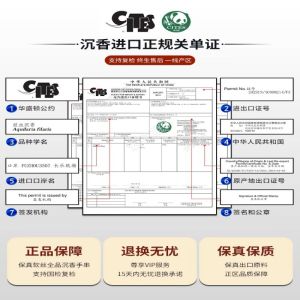 Small Size Genuine Ho Wood Chanting Beads Bracelet for Women Vintage Style Worn And Played Buddhist Pearl Hand Chain