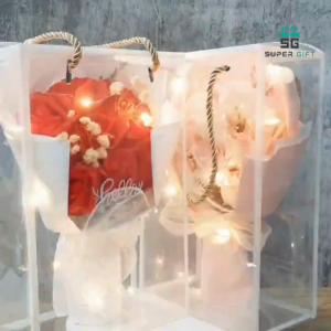 Red Rose Bouquet (9pcs) with Transparent Gift Bag – Romantic Bunga Ros Present