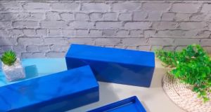 Plastic Coin Slab Storage Box 20-Slot Coin Holder Organizer Case Fits For PCGS Slabs Secure Coin Collection Box For Collectors