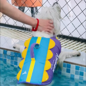 Dog Life Jackets Buoyancy Vests Pet Supplies Golden Retrievers Large Dogs Swimming Life Jacket Purple