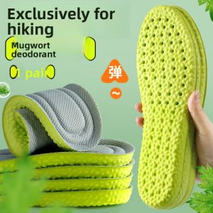 XIANZHAO | Antibacterial Odor-Resistant Absorbent Fragrant Insoles