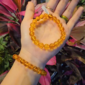 Q1697 Vòng Hổ Phách Baltic thiên nhiên không kén mệnh - Phong Thuỷ TUDO