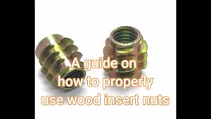 10 PCS INSERT NUTS M8X15 M8X20 OR M6 X 15 Embedded Insert Nut Hexagon Socket Head for Wood Furniture Electroplated