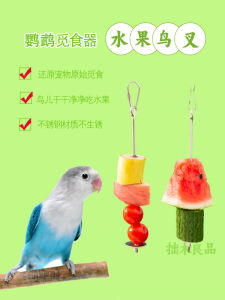 Stainless Steel Parrot Vegetable Feeder Small Bird Fruit Fork Fruit Hook Feeding Bird Tool Hanging Food Box Quantitative Feeding