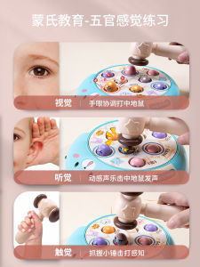 Đồ Chơi Giáo Dục Montessori Cho Trẻ Em Từ 2-3 Tuổi Đồ Chơi Rèn Kỹ Năng Tinh Quái Đồ Chơi Giáo Dục Sớm Cho Trẻ Sơ Sinh Và Trẻ Nhỏ