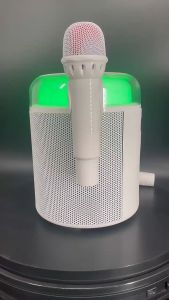 BAVIN Y9 Wireless KARAOKE BLUETOOTH SPEAKER Portable Machine With Two Handheld Microphone